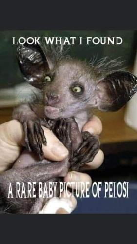 FB_IMG_1608606439761