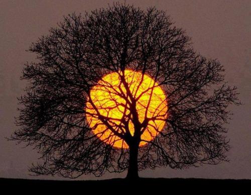 suns up (2)