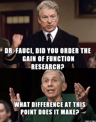 Rand Paul Fauci What Difference Does It Make