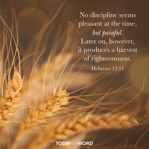 E6A2006F-C699-4353-B73A-15F1899CAE6A