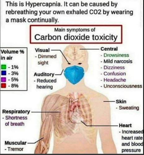 Screenshot_20211031-233145