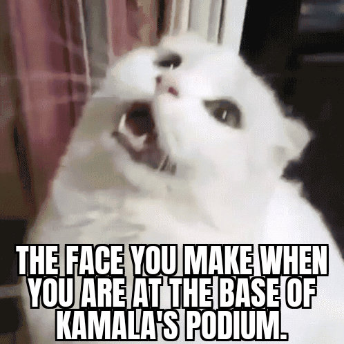 GifMeme 17112021042409