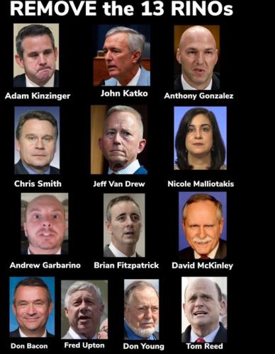 RINOS