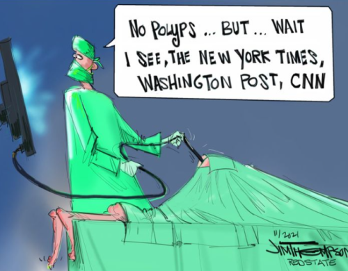 Capture+_2021-11-20-09-39-58(1)