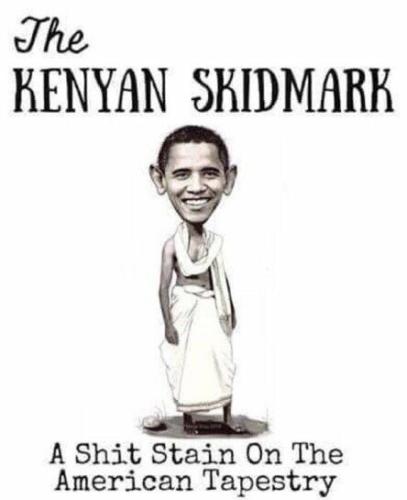 image_1637265233.839