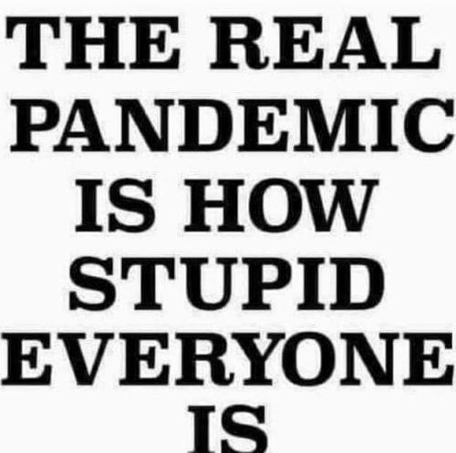 6b976d28-c58c-48cc-885b-1569f5cefd98