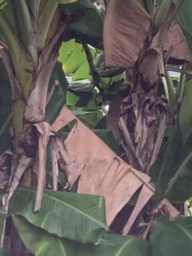 1E12B8ED-AFA5-4E7E-9499-EC960EA32904