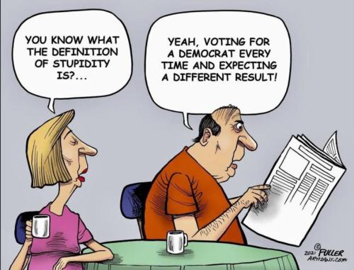 bidendemocratvoteisstupid