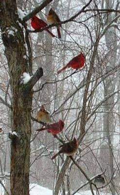 FB_IMG_1605363692310