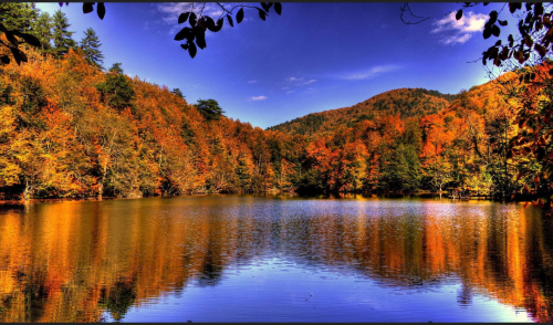 Screenshot_20211115-184624