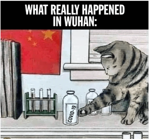 What Really Happenedd