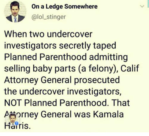 B8282A1A-BBF9-483B-9080-9F2D5B7283C4