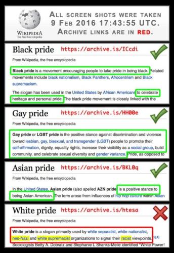 1 Naturally Wikipedia_explains_different_forms_of_pride