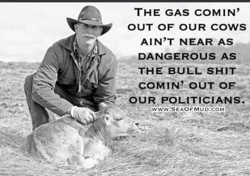 FB_IMG_1636741419801