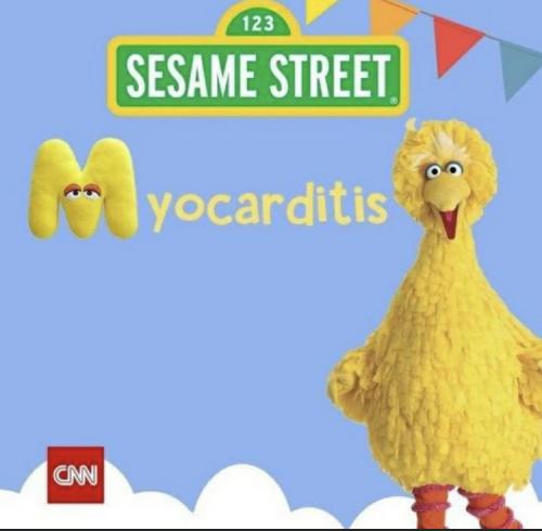 14818A03-B341-44E1-9F16-6D4487E78528