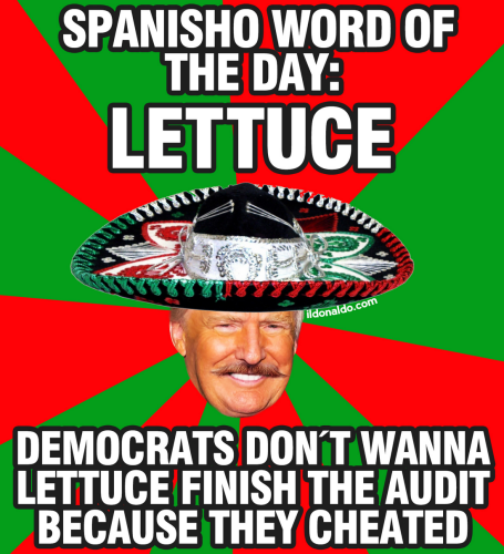 AAA28841-6581-4DDC-B0D9-CDDE2CEFA854