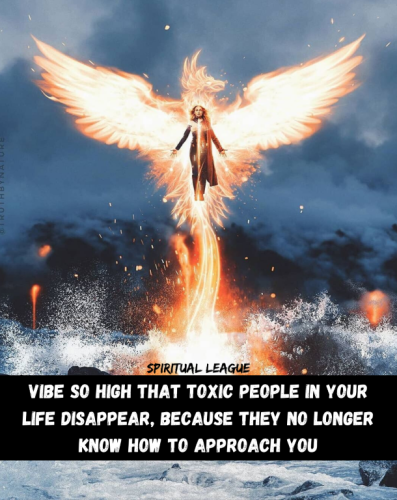 61aae3a420b26dd01e44be8bd1f2c542