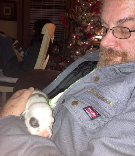 received_732747514349471