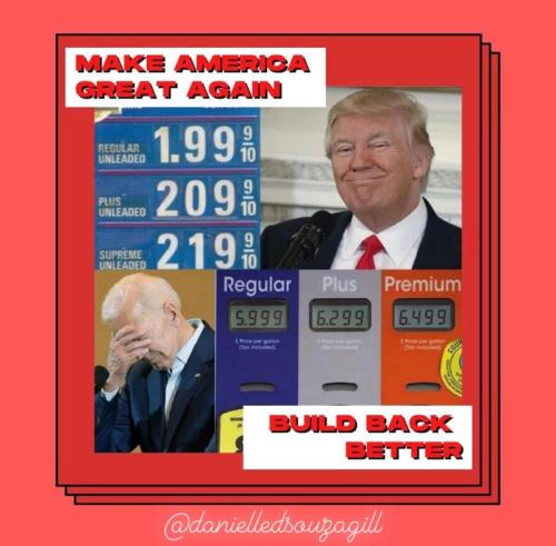 image_1637160619.339