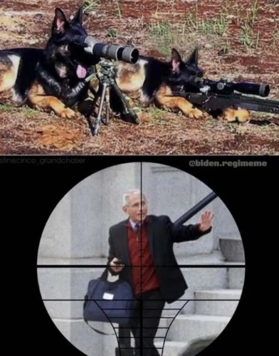 Capture+_2021-11-06-15-34-47(1)