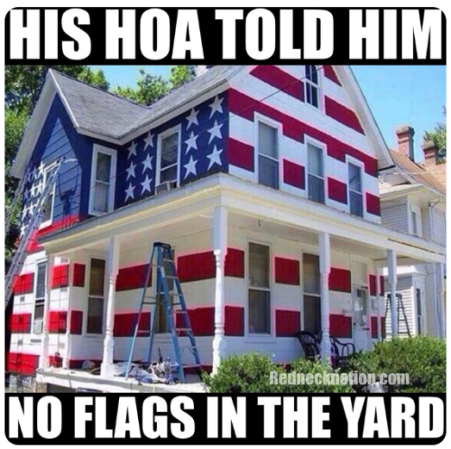 Capture+_2021-11-08-07-57-17(1)