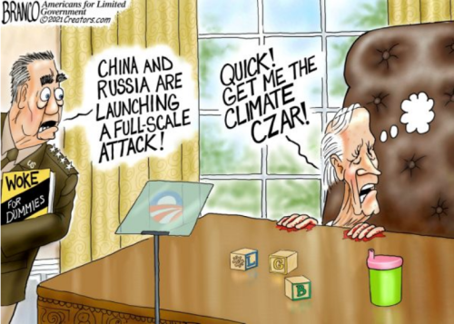 MAGA toon 64 - Cluless in chief