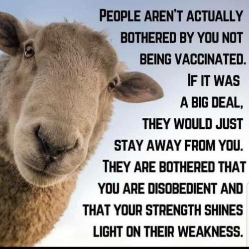 PEOPLE AREN'T BOTHERD