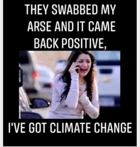 262571945_186482940367795_2780961470751087533_n