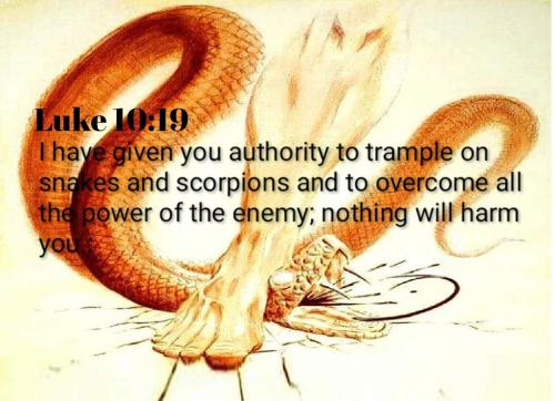 Screenshot_20211103-111525_Add Text