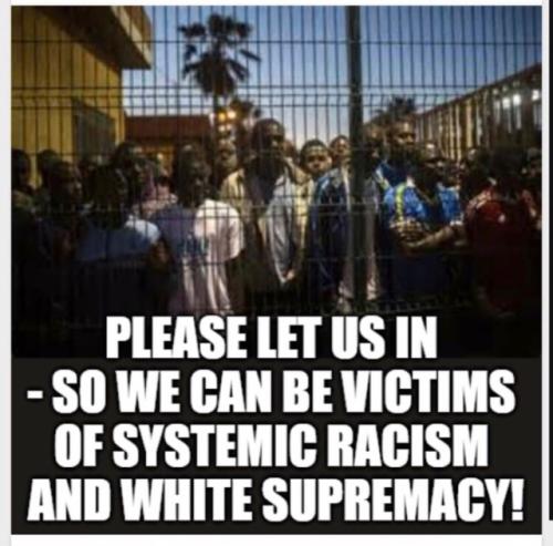 image_1636377210.949