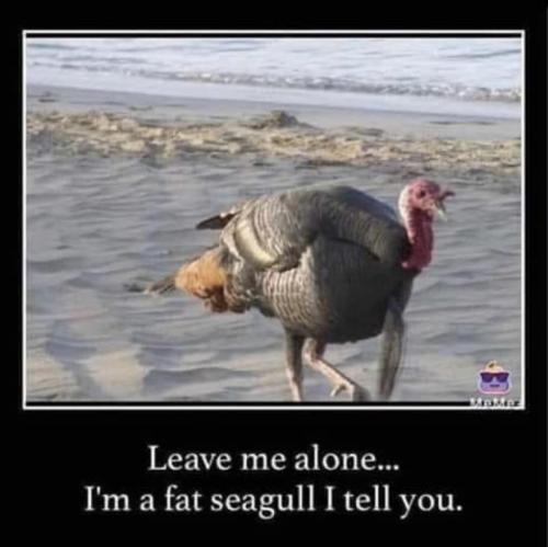 C0D44CF6-2C74-4522-A587-2E19742A3929