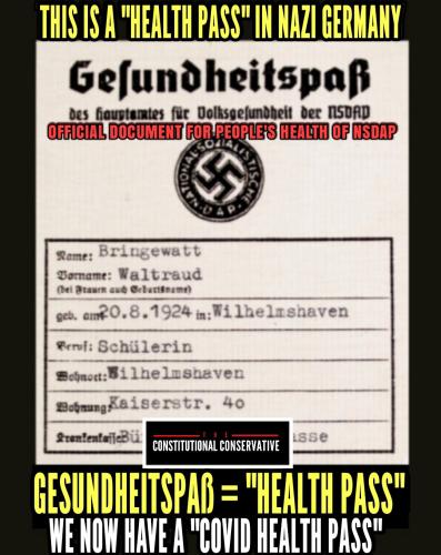 image_1635832525.499