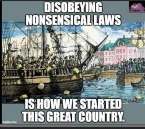 6A56E2F0-236D-48F1-AC7B-F187A7779FCF