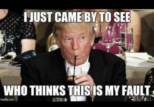 C9C15DB3-B755-4998-8F44-06B9BB43A5EF