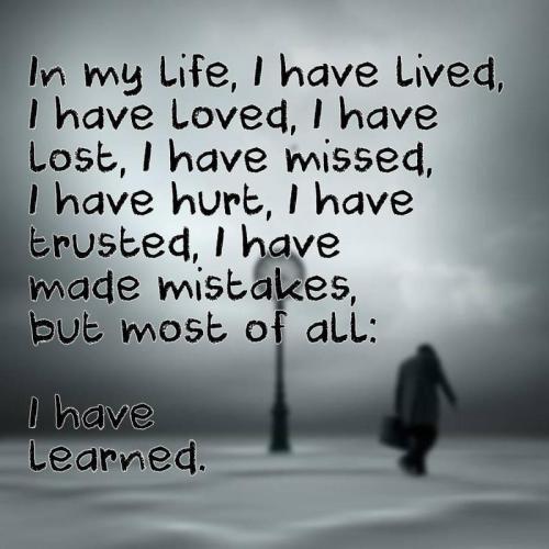 img (11)