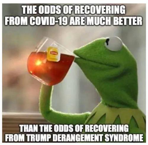 FCE9F9D2-27A6-4560-9D58-AE4B565E1FFC