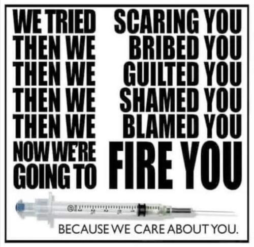 253382281_2141773355970845_5074908588048871610_n