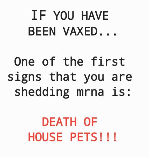 Screenshot_20211102-165012_S Note