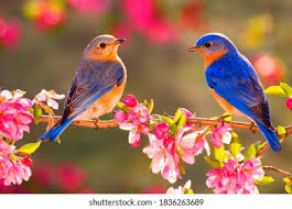 B1C32DD1-BFED-4C41-814B-D666D15D6190