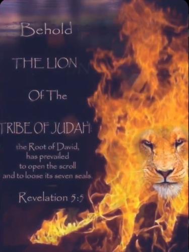 Screenshot_20211101-124139_Pinterest