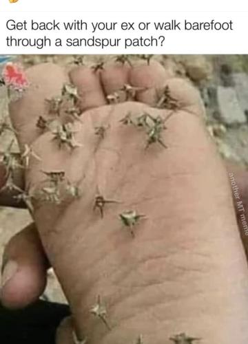 59CB947B-5AFE-414E-8DE8-CFACE0DBE71E