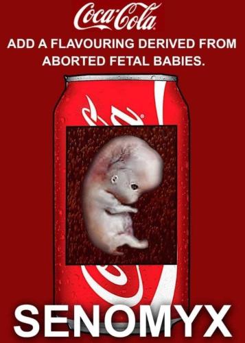 photo_2021-11-15_06-54-06