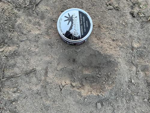 EA96F450-B6FD-42A8-962E-2CB2F820881F