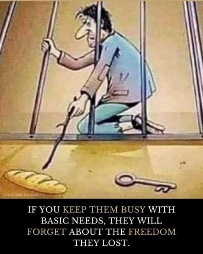 F3582704-787A-4E78-8518-7D6CFDECF73D