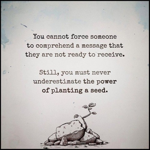 IMG_20211114_113301_381