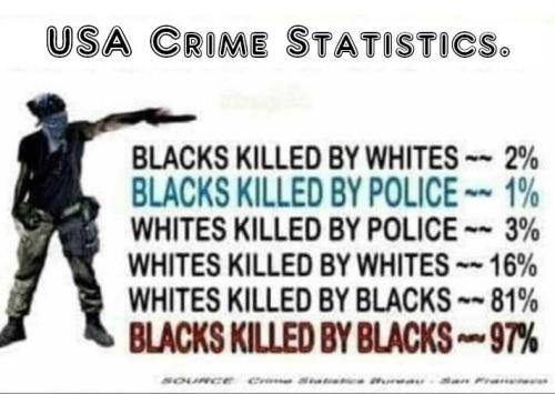 image_1637434351.826