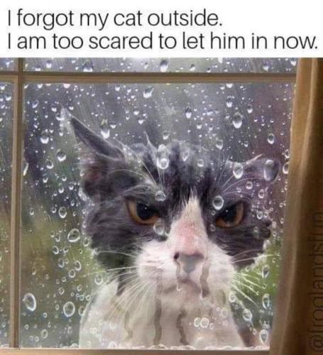 D111C53B-9D96-40A2-A22B-65119D5BFA58