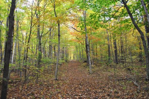 Door County