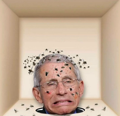 Screenshot_20211102-154036~2