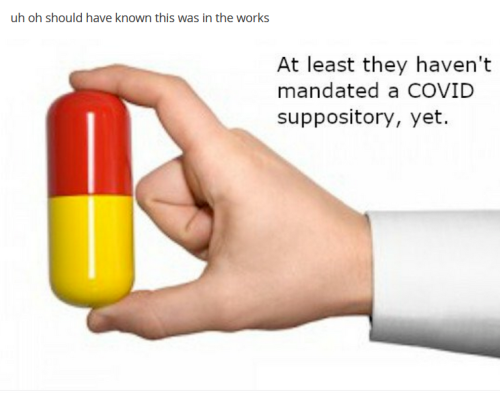 bidencovidsupository